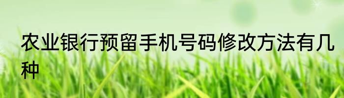 农业银行预留手机号码修改方法有几种