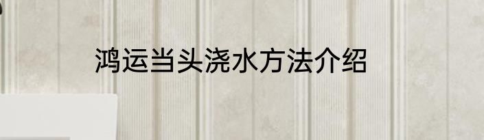 鸿运当头浇水方法介绍