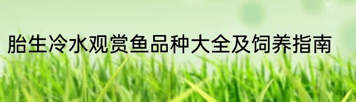 胎生冷水观赏鱼品种大全及饲养指南
