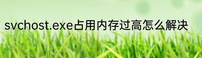 胎盘做成胶囊吃有什么好处