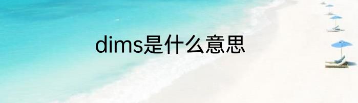dims是什么意思