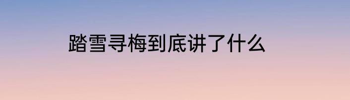 踏雪寻梅到底讲了什么