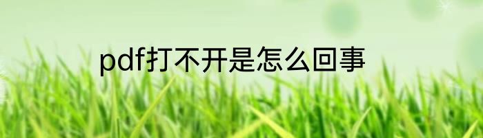 pdf打不开是怎么回事