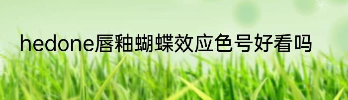 hedone唇釉蝴蝶效应色号好看吗
