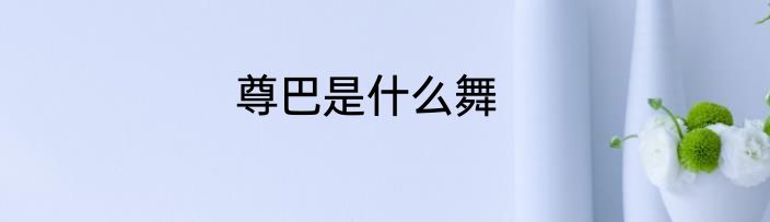 尊巴是什么舞