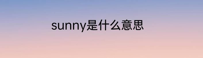 sunny是什么意思