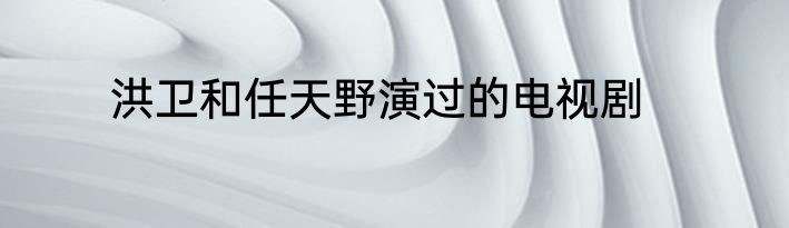 洪卫和任天野演过的电视剧