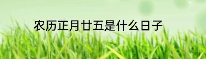 农历正月廿五是什么日子