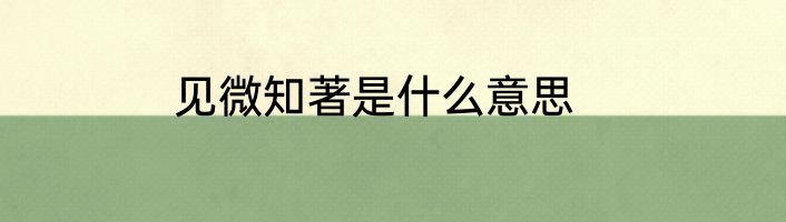 见微知著是什么意思