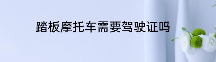 踏板摩托车需要驾驶证吗