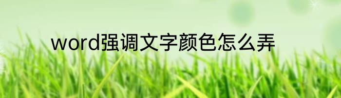 word强调文字颜色怎么弄