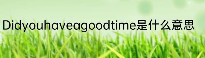 Didyouhaveagoodtime是什么意思