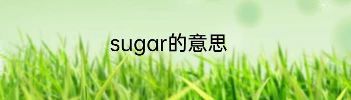 sugar的意思