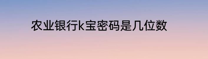 农业银行k宝密码是几位数