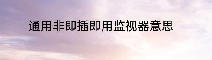 通用非即插即用监视器意思
