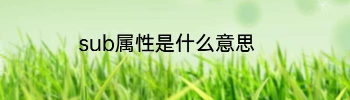sub属性是什么意思