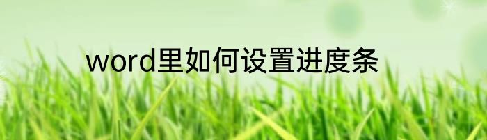 word里如何设置进度条