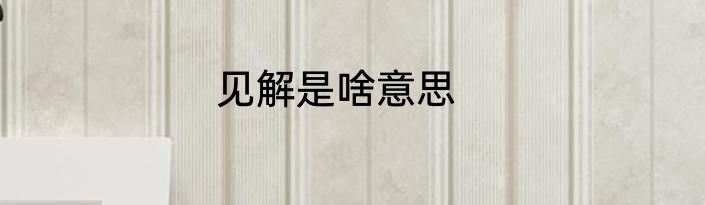 见解是啥意思