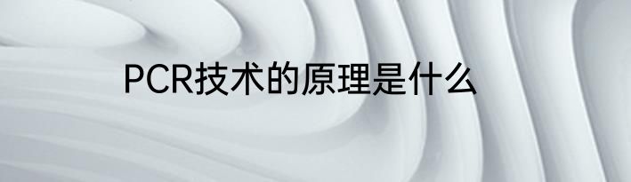 PCR技术的原理是什么