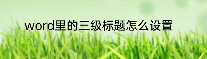word里的三级标题怎么设置