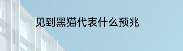 见到黑猫代表什么预兆