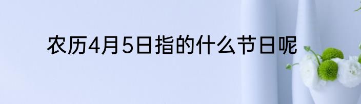 农历4月5日指的什么节日呢