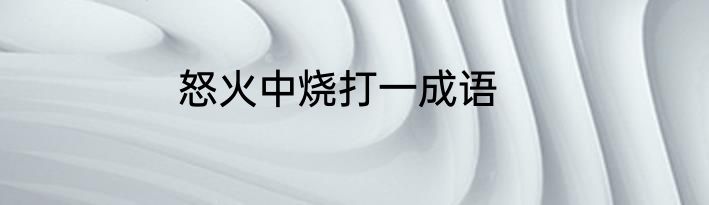 怒火中烧打一成语