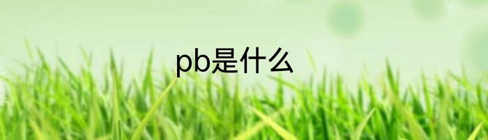 pb是什么