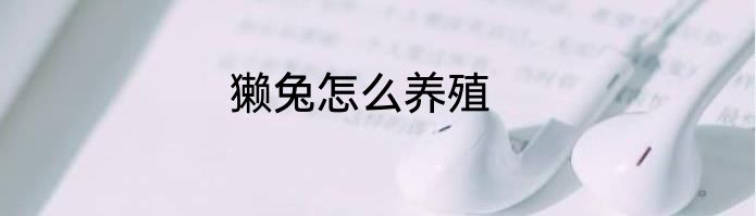 獭兔怎么养殖