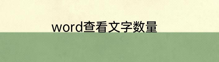 word查看文字数量