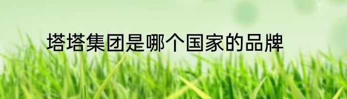 塔塔集团是哪个国家的品牌