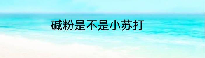 碱粉是不是小苏打