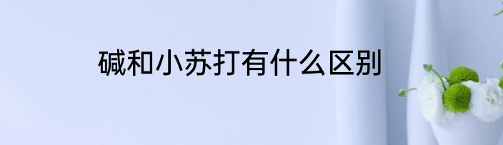 碱和小苏打有什么区别