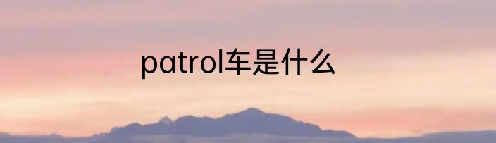 patrol车是什么