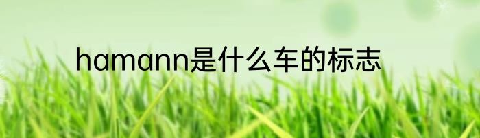 hamann是什么车的标志