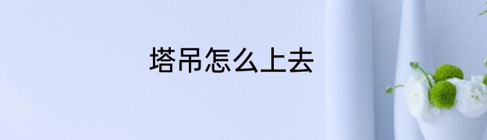 塔吊怎么上去