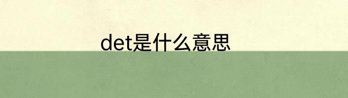 det是什么意思