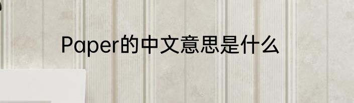 Paper的中文意思是什么