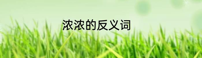 浓浓的反义词