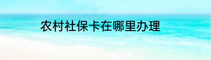 农村社保卡在哪里办理