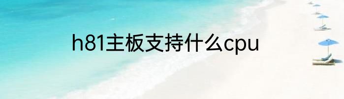 h81主板支持什么cpu