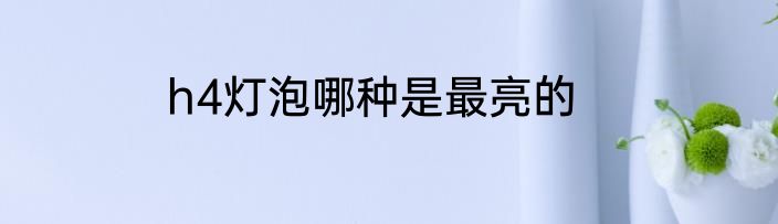 h4灯泡哪种是最亮的