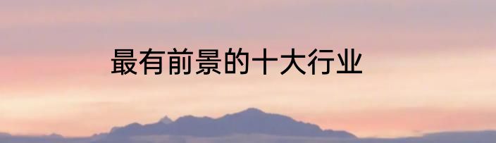 最有前景的十大行业