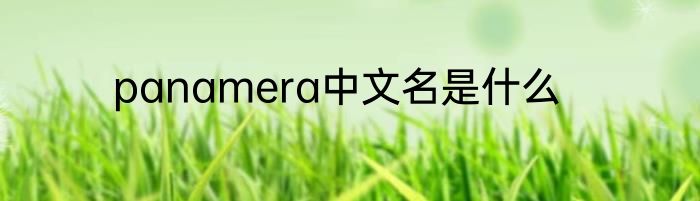 panamera中文名是什么