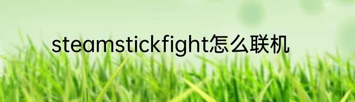 steamstickfight怎么联机
