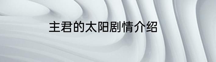 主君的太阳剧情介绍
