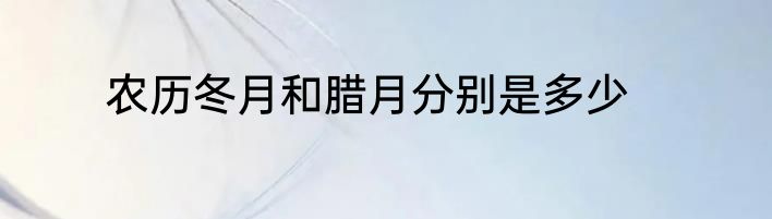 农历冬月和腊月分别是多少