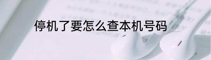停机了要怎么查本机号码