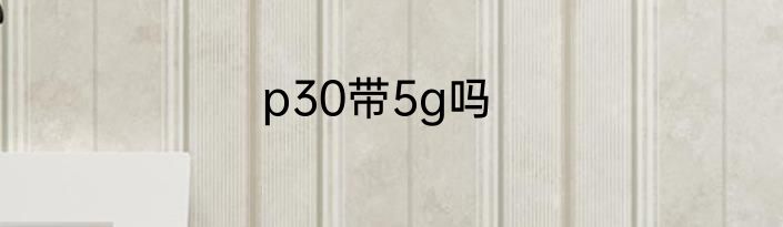 p30带5g吗