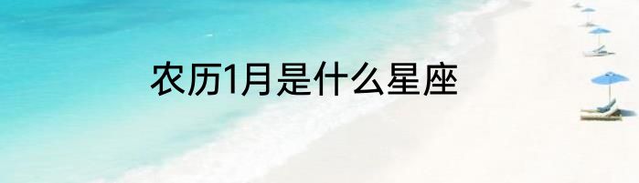 农历1月是什么星座